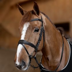 Bridon combiné Padded HFI