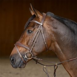 Bridon combiné Padded HFI