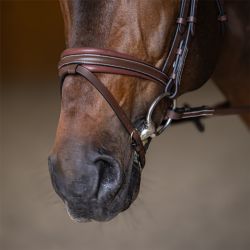 Bridon combiné Padded HFI