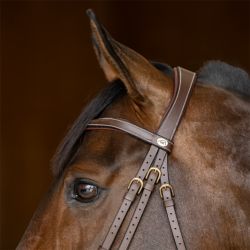 Bridon combiné Padded HFI