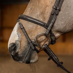 Bridon Flex HFI Master