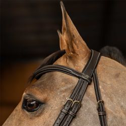 Bridon Flex HFI Master