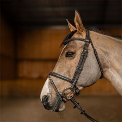 Bridon Flex HFI Master