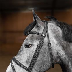 Bridon Flex HFI Master