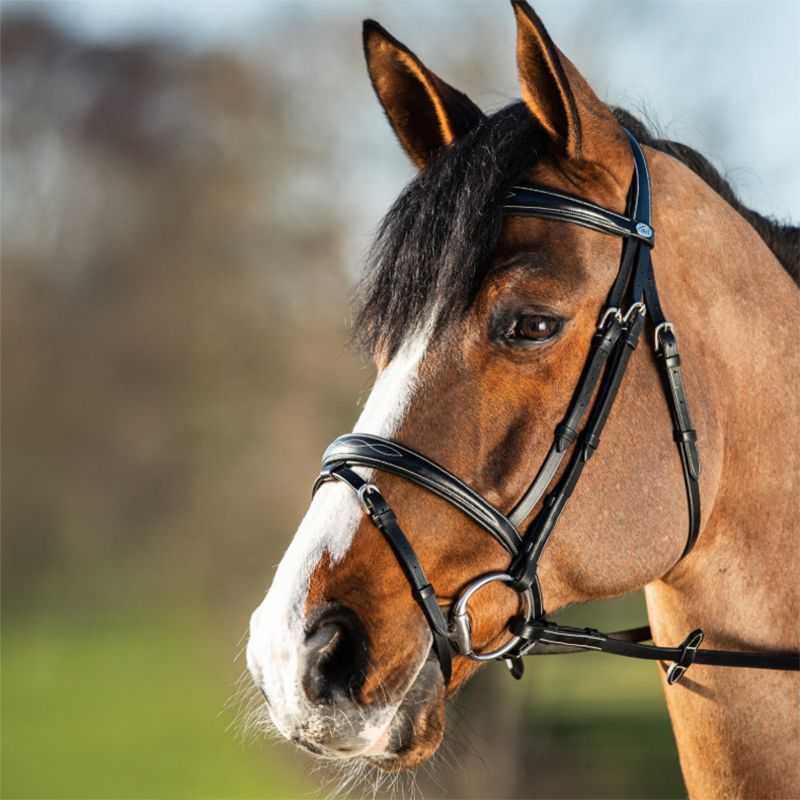 Bridon Elegant HFI Master