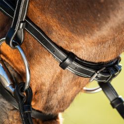 Bridon Elegant HFI Master