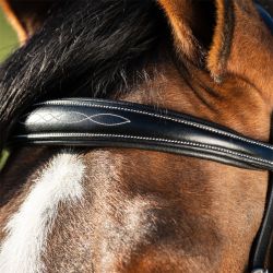 Bridon Elegant HFI Master