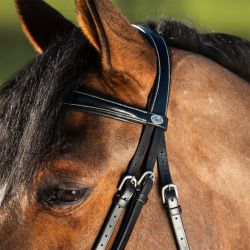 Bridon Elegant HFI Master