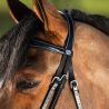 Bridon Elegant HFI Master