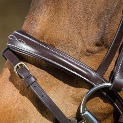 Bridon Elegant HFI Master