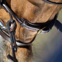 Bridon Elegant HFI Master