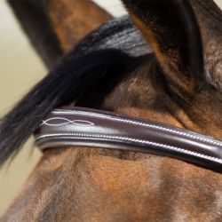 Bridon Elegant HFI Master