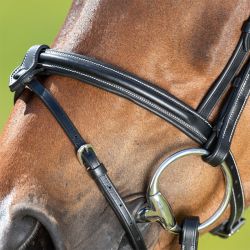 Bridon Anatomic HFI Master