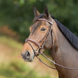 Bridon Anatomic HFI Master