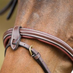 Bridon Anatomic HFI Master