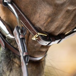 Bridon Anatomic HFI Master