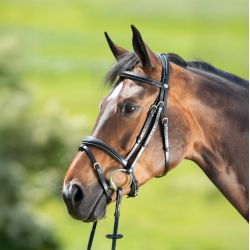 Bridon Technical HFI Master