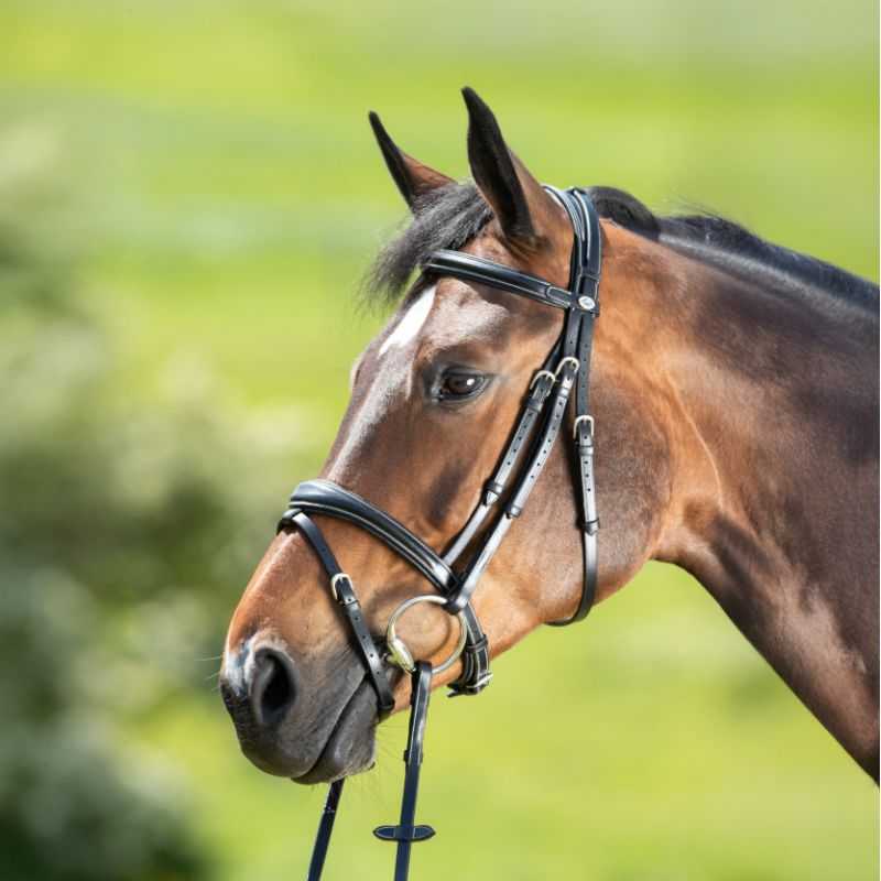 Bridon Technical HFI Master