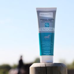Tendonil gel Laboratoire LPC - 250ml