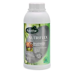 Nutriflex 500 ml Ravene