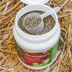 Nutrigarlic + Ravene