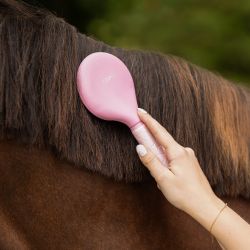 Brosse à crins Lyvia QHP