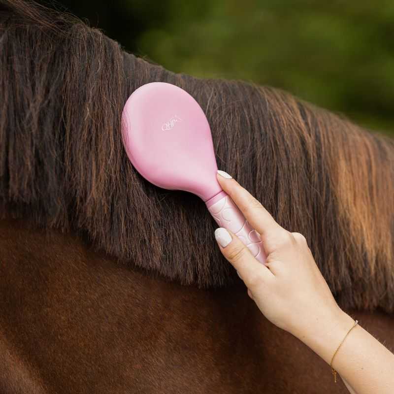 Brosse à crins Lyvia QHP