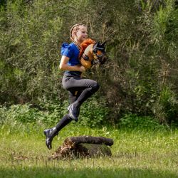 Hobby Horse Cheval bâton QHP