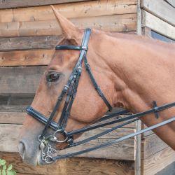 Bride Bellini T de T