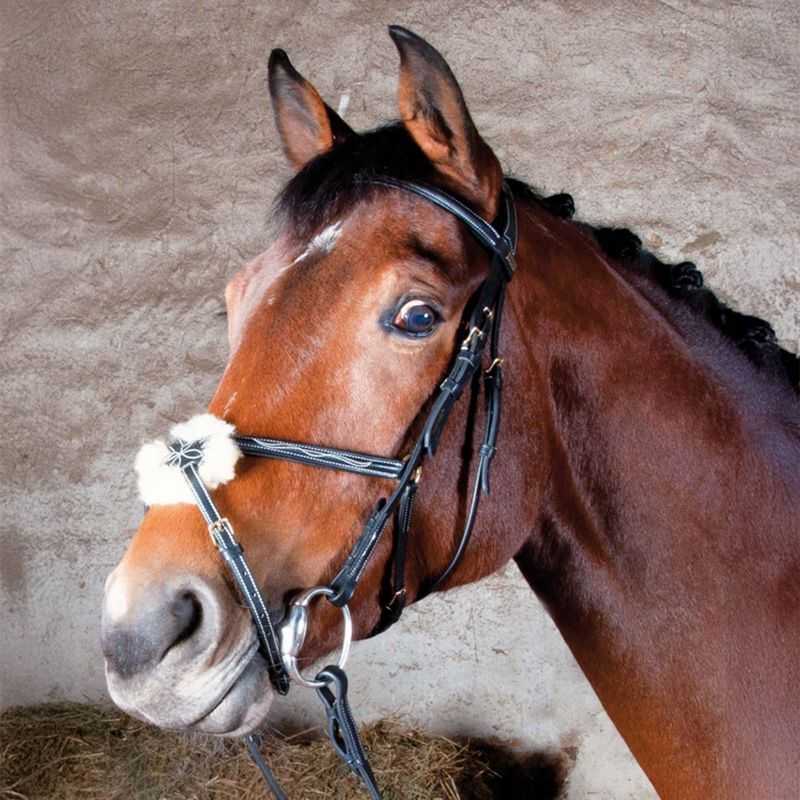 Bridon Kessel muserolle croisée T de T