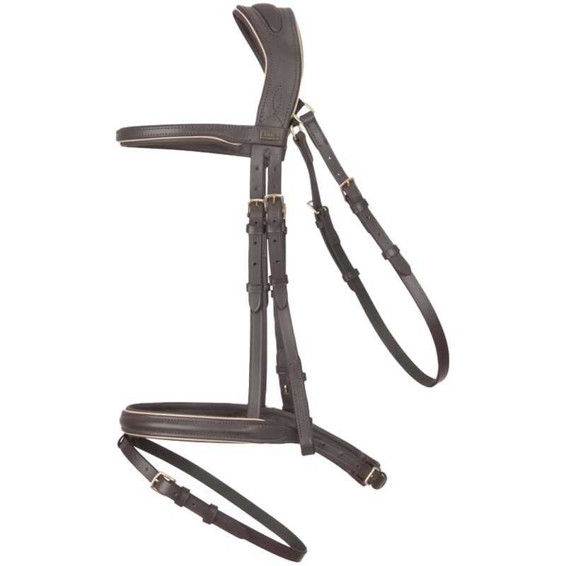 Bridon Velazquez T de T