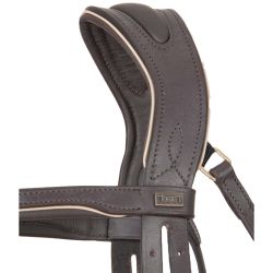 Bridon Velazquez T de T