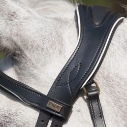 Bridon Velazquez T de T