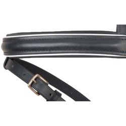 Bridon Velazquez T de T