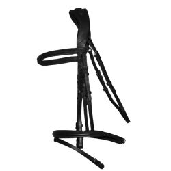 Bridon Velazquez T de T