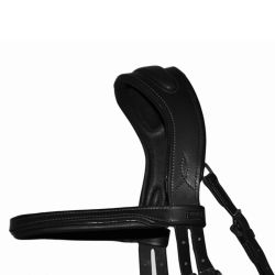 Bridon Velazquez T de T