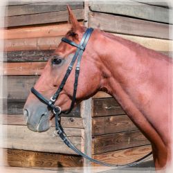 Bridon Bitless T de T