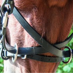 Bridon Bitless T de T