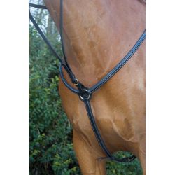 Collier de chasse doublé T de T