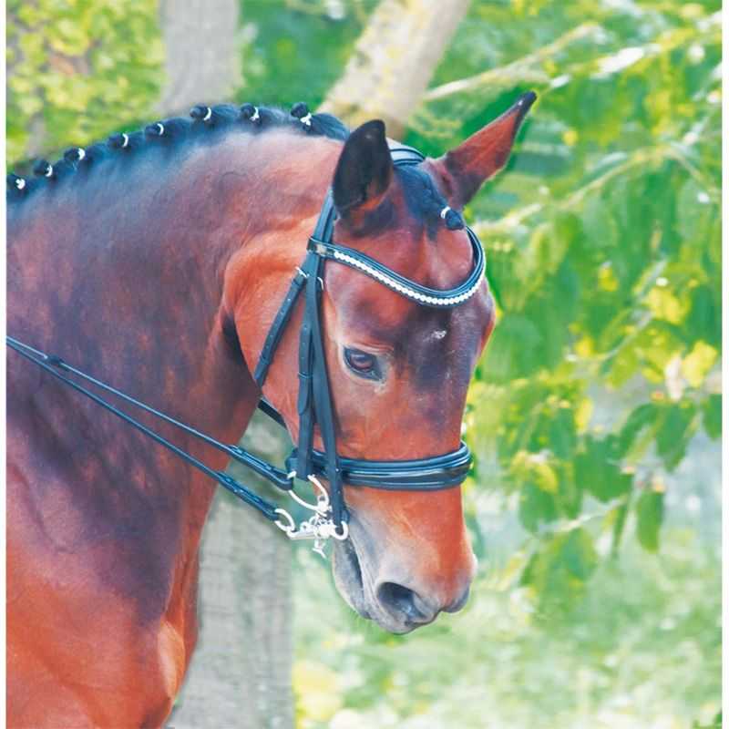 Bride Cezanne Strass T de T