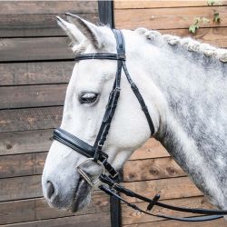 Bridon Pull Back T de T