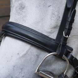 Bridon Pull Back T de T