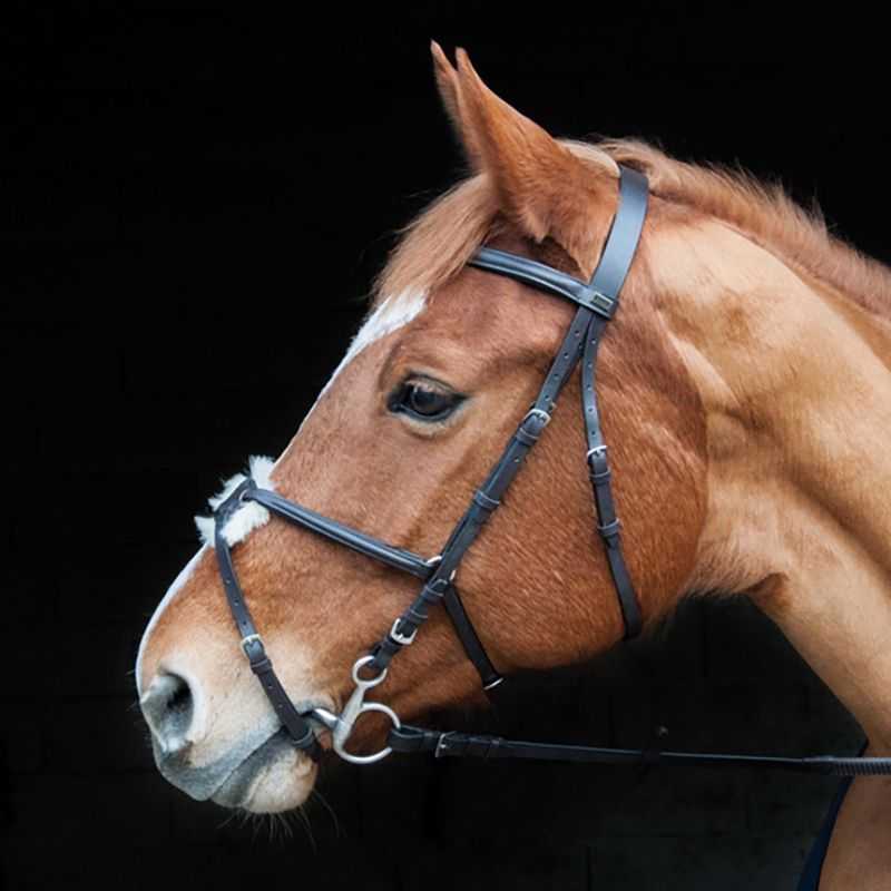 Bridon Sisley muserolle croisée T de T