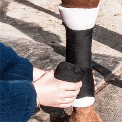 Sous-bandes en mousse TdeT