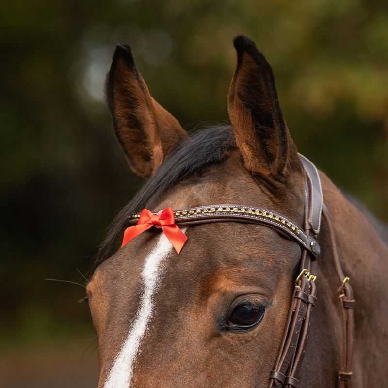 Petit noeud d'avertissement QHP