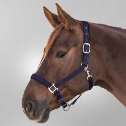 Licol Satin Waldhausen