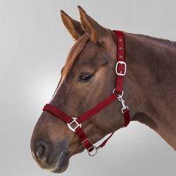 Licol Satin Waldhausen