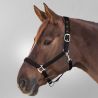 Licol Satin Waldhausen