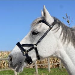 Sidepull no more T de T