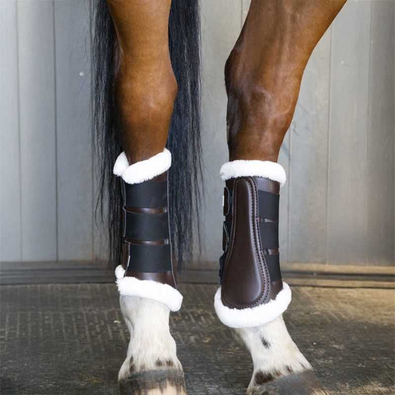 Guêtres de dressage postérieurs T de T